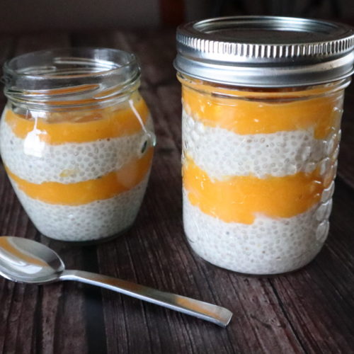 Tropical Mango Chia pudding breakfast recipe vegan gluten free