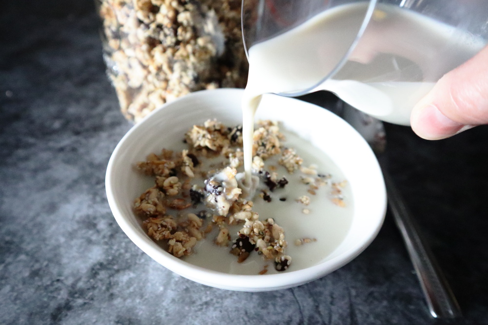 Crunchy Homemade Granola Protein Cereal Recipe Vegan GF NF